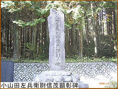 ���R�c�����q�ѐM�Ό�����