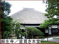 願生寺の茅葺本堂