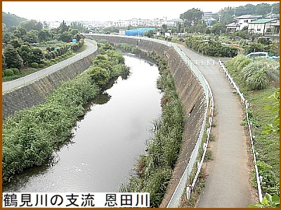 鶴見川の支流 恩田川