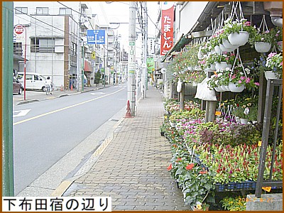 下布田宿の辺り