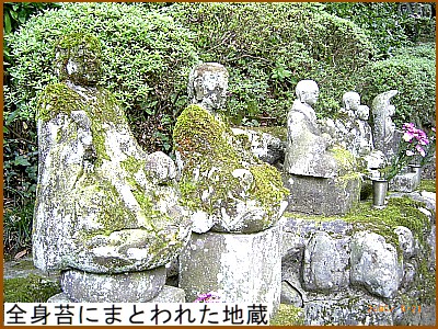 全身苔にまとわれた地蔵様