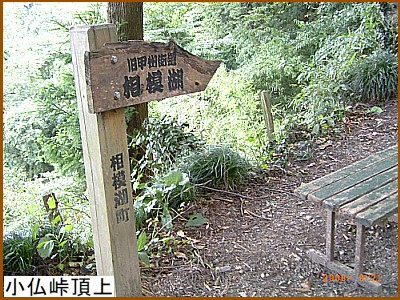 ����ɓ���