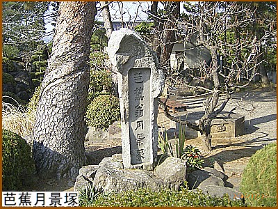 �m�Ԍ��i(�e�j��