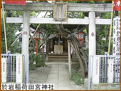 �����דc�{�_��