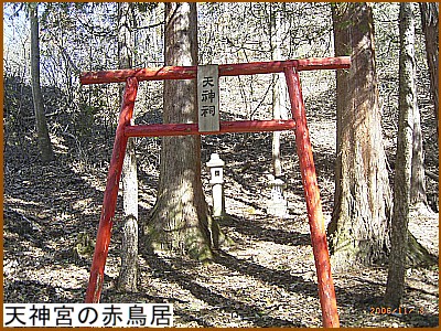 �V�_�{�̐Ԓ���