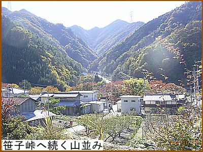 ���q���֑����R����