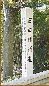 ���b�B�X���W��