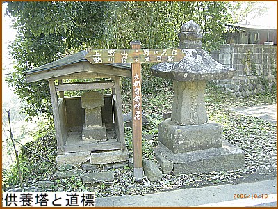 ���{���Ɠ��W