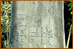 ������������g��