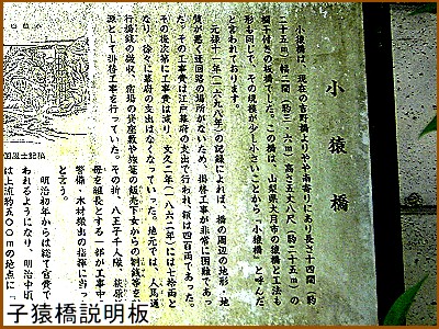 �q����������