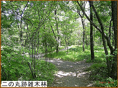 ��̊ېՎG�ؗ�