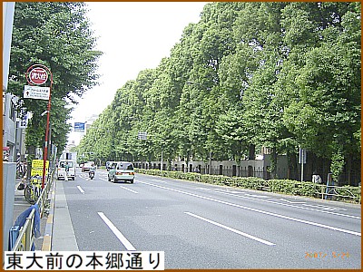 ����O�̖{���ʂ�