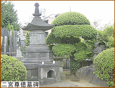 ��{�������