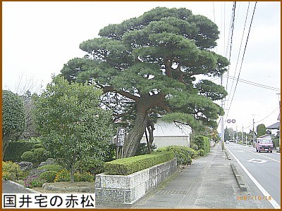 �^��̗����ؑI�@�����̐ԏ�