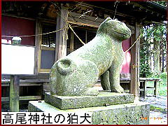 高尾神社の狛犬