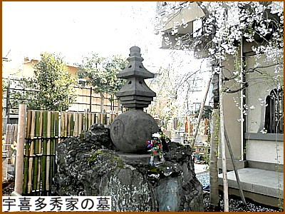 �F�쑽�G�Ƃ̕�