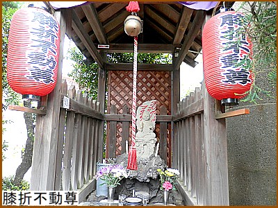 �G�ܕs����