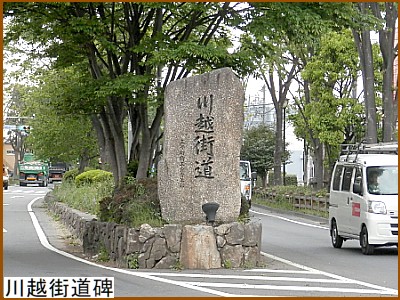 ��z�X����