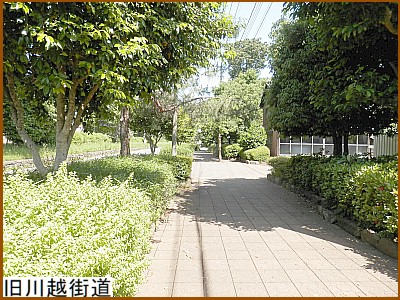 ����z�X��