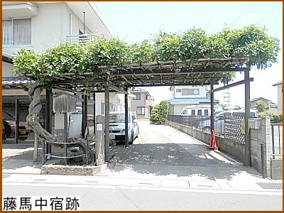 ���n���h��