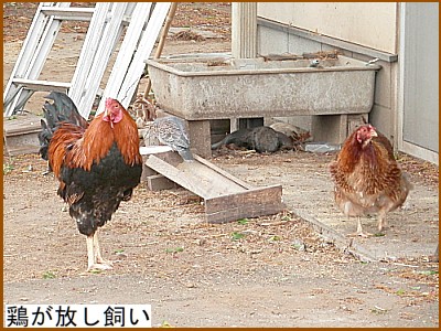 �{����������