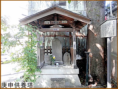 �M�\���{��