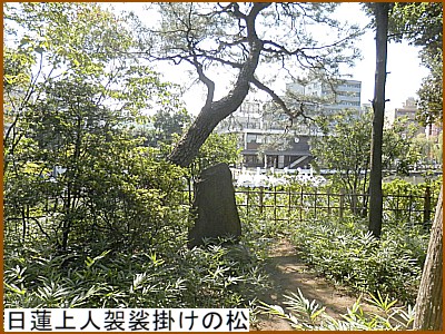 ���@��l�U���|���̏�