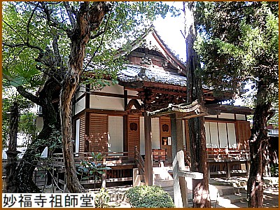 �������c�t��