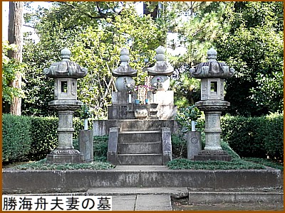 ���C�M�v�Ȃ̕�