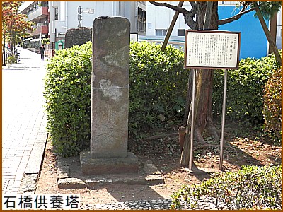 �΋����{��