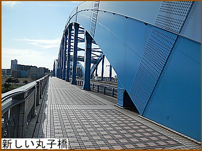 �V�����ێq��