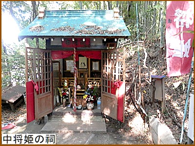 �����P���K