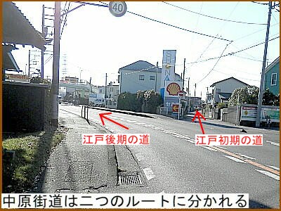 �����X���͓�̃��[�g�ɕ������