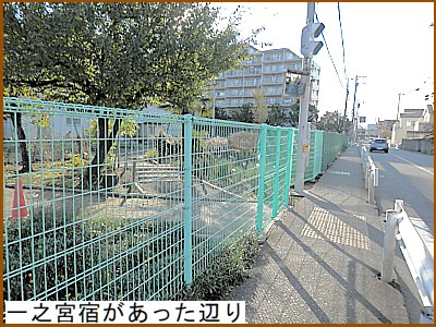 ��V�{�h���������ӂ�