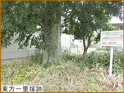 �����ꗢ�ː�