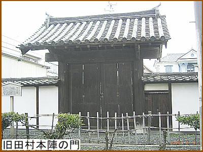 ���c���{�w�̖�