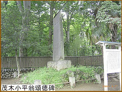 �Ζ؏������񓿔�