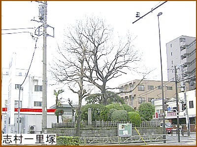 �u���ꗢ��