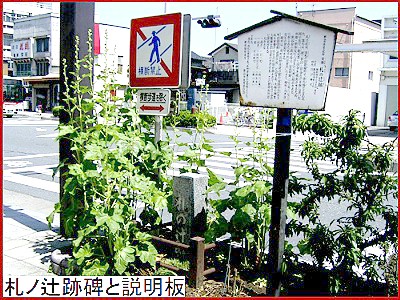 �F�J�h�D�̒ҐՔ�