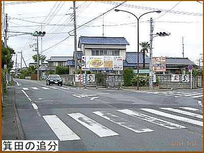 ���c�̒Ǖ�