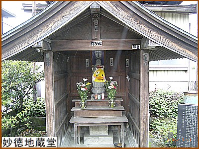 �����n����