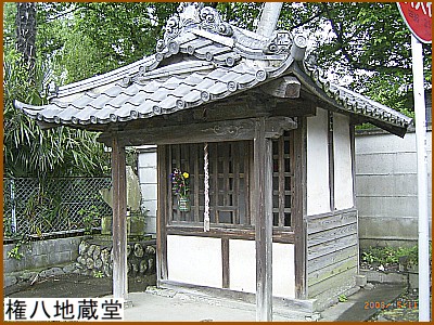 �����n����