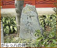 ��������̔�