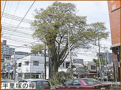 �����˂̟O