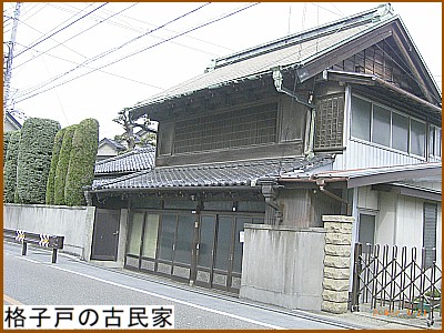 �i�q�˂̌Ö���