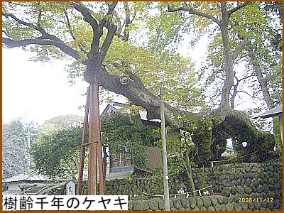 �����N�̃P���L