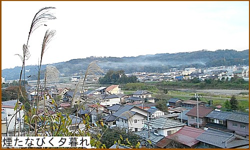 �����Ȃт��[���