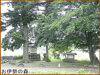 ���ɐ��̐X