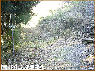 �E���̊K�i���オ�铹�������R��