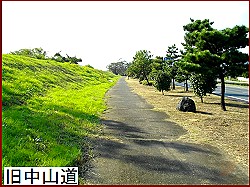 �����R��